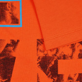 Βαμβακερό μπλουζάκι με την επιγραφή Live, πορτοκαλί Benetton 225325 2