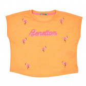 Κοντομάνικη μπλούζα με κεντητό λογότυπο, πορτοκαλί Benetton 228346 