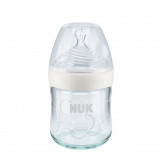 Γυάλινο μπουκάλι Nature Sense με πιπίλα αργής ροής 0-6 μηνών, 120 ml. NUK 229416 