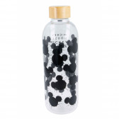 Γυάλινο μπουκάλι Mickey Mouse, 1030 ml Mickey Mouse 230541 