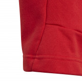 Essentials σορτς, κόκκινο Adidas 231008 4