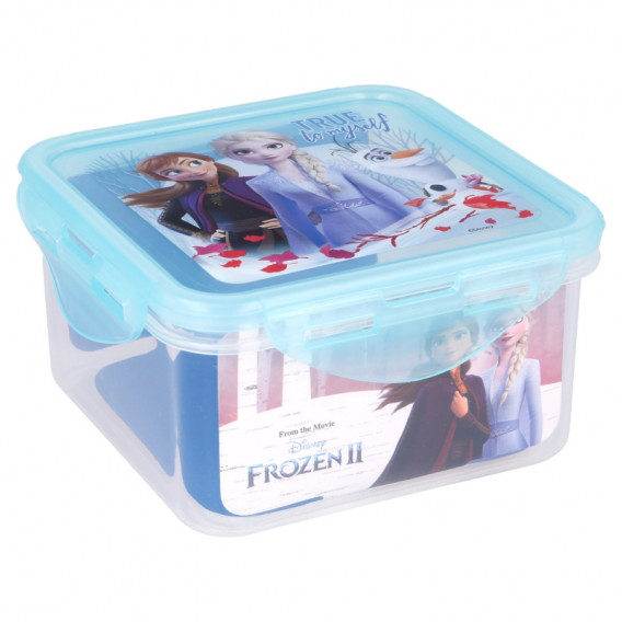 Κουτί φαγητού για ένα κορίτσι, Frozen Kingdom 2, 730 ml. Frozen 231511 