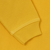 Βαμβακερή μπλούζα με μακριά μανίκια και γιακά για ένα μωρό, κίτρινο Benetton 234108 3