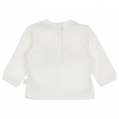 Βαμβακερή μακρυμάνικη μπλούζα με πολύχρωμο τύπωμα για κορίτσι Chicco 234979 4
