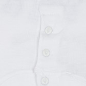 Βρεφική, βαμβακερή, κοντομάνικη μπλούζα, με στρογγυλή λαιμόκοψη, για κορίτσι Armani 235059 3
