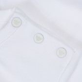 Βρεφική, βαμβακερή, κοντομάνικη μπλούζα, με τυπωμένο σχέδιο μπροστά, για κορίτσι Armani 235605 3