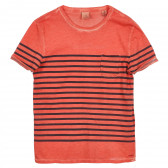 Βαμβακερό μπλουζάκι για αγόρια, πορτοκαλί με μαύρες ρίγες Scotch Shrunk 236343 