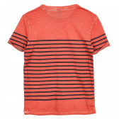 Βαμβακερό μπλουζάκι για αγόρια, πορτοκαλί με μαύρες ρίγες Scotch Shrunk 236345 4