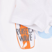 Βαμβακερή μπλούζα με τύπωμα καρχαρία για μωρό, λευκό Benetton 236357 3