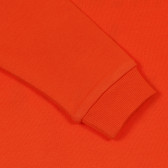 Βαμβακερή μπλούζα με στάμπα για αγοράκι, πορτοκαλί Name it 238880 2