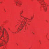 Βαμβακερό μπλουζάκι με τύπωμα ζώων, κόκκινο Idexe 239437 2