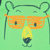 Βαμβακερή μπλούζα με τύπωμα αρκούδας για μωρό, πράσινο Idexe 239691 2