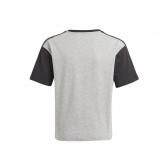 Βαμβακερή μπλούζα ESSENTIALS COLORBLOCK TEE, γκρι Adidas 240824 2