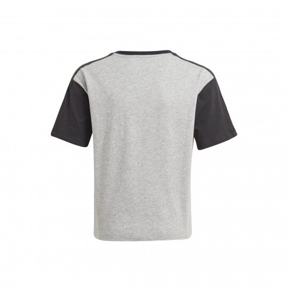 Βαμβακερή μπλούζα ESSENTIALS COLORBLOCK TEE, γκρι Adidas 240824 2