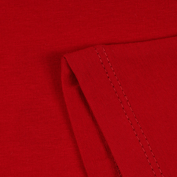 Μπλουζάκι με γραφικό σχέδιο, σκούρο κόκκινο Acar 241083 4