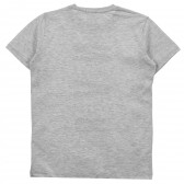 Μπλουζάκι με γραφικό σχέδιο, ανοιχτό γκρι Acar 241193 2