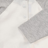 Λευκή βαμβακερή μπλούζα με στάμπα και μανίκια και γιακά σε αντίθεση Chicco 241304 3