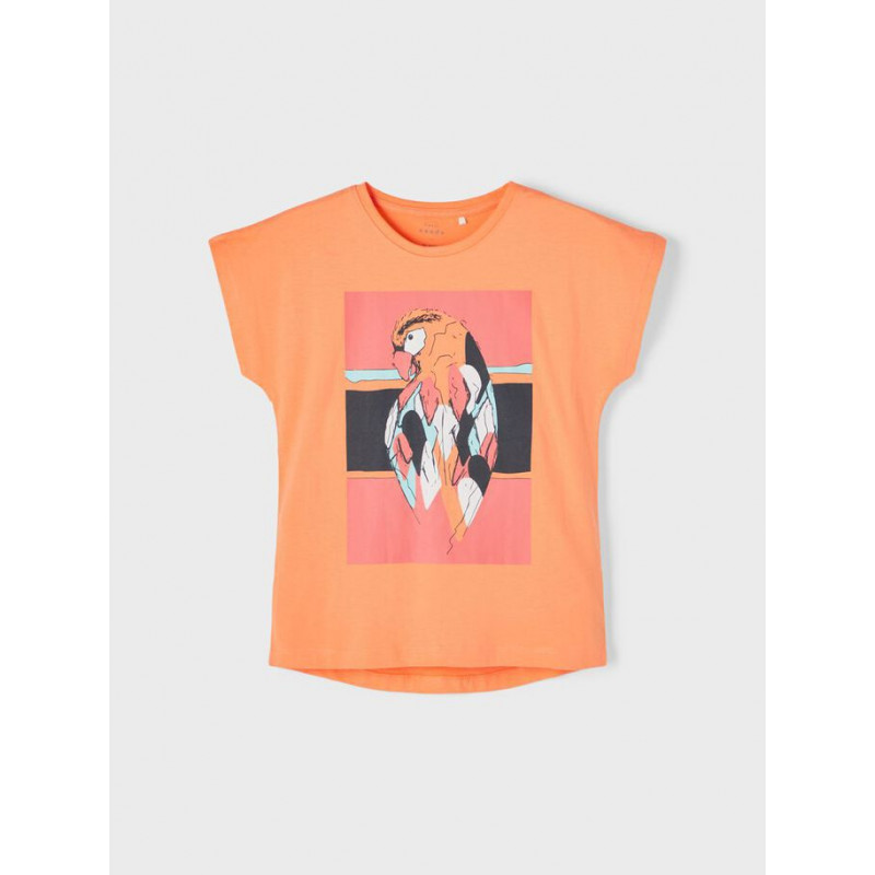 Μπλουζάκι από οργανικό βαμβάκι με τύπωμα παπαγάλου, πορτοκαλί  242387