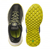 Πάνινα παπούτσια με ανοιχτό πράσινο τόνους, σκούρο πράσινο Timberland 243576 3