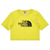 Βαμβακερό μπλουζάκι με το λογότυπο της μάρκας, σε πράσινο χρώμα The North Face 243609 