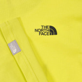 Βαμβακερό μπλουζάκι με το λογότυπο της μάρκας, σε πράσινο χρώμα The North Face 243611 2