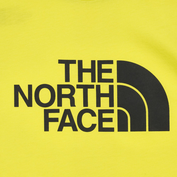 Βαμβακερό μπλουζάκι με το λογότυπο της μάρκας, σε πράσινο χρώμα The North Face 243612 3