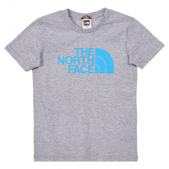 Βαμβακερή μπλούζα με το λογότυπο της μάρκας, γκρι χρώμα The North Face 243613 