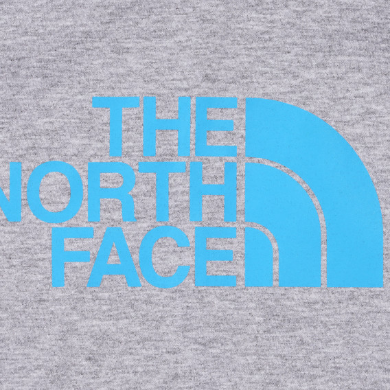 Βαμβακερή μπλούζα με το λογότυπο της μάρκας, γκρι χρώμα The North Face 243616 3