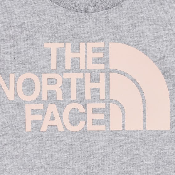 Βαμβακερό μπλουζάκι με το λογότυπο της μάρκας σε γκρι  The North Face 243635 3