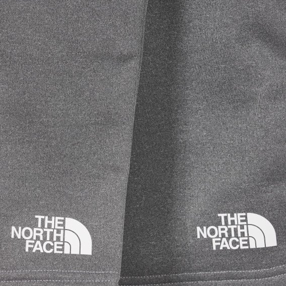 Σορτς με το λογότυπο της μάρκας, γκρι The North Face 243643 3