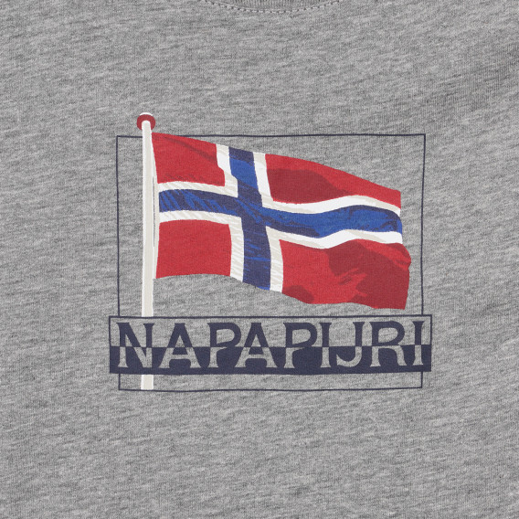 Βαμβακερό μπλουζάκι με το λογότυπο της μάρκας σε γκρι χρώμα Napapijri 243702 3