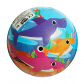 Μπάλα BABY SHARK, μέγεθος 15 εκ, πολύχρωμη BABY SHARK 244536 2