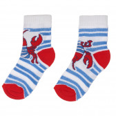 Κάλτσες για αγόρια πολύχρωμα Chicco 245568 3