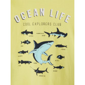 Μπλουζάκι από οργανικό βαμβάκι με θαλάσσινό σχέδιο, κίτρινο Name it 247591 3