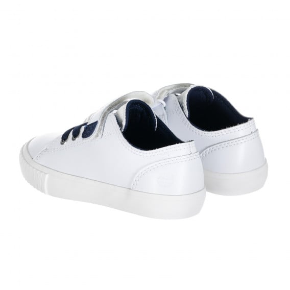 Δερμάτινα πάνινα παπούτσια, λευκό Timberland 248247 3