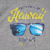 Μπλουζάκι από Χαβάη, γκρι Chicco 248444 3