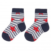 Σετ από δύο ζευγάρια κάλτσες με αστέρια σε γκρι και μπλε Chicco 248531 4