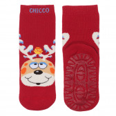 Κάλτσες με Χριστουγεννιάτικο τύπωμα, κόκκινο Chicco 248698 