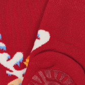 Κάλτσες με Χριστουγεννιάτικο τύπωμα, κόκκινο Chicco 248699 2