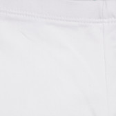 Κοντό βαμβακερό κολάν με κεντητό λογότυπο, λευκό Benetton 249247 6