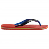 Flip-flops με το εμπορικό σήμα και τις χρωματικές πινελιές, κόκκινο Havaianas 250341 4