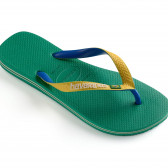 Flip-flops με το εμπορικό σήμα και τις χρωματικές πινελιές, πράσινο Havaianas 250342 
