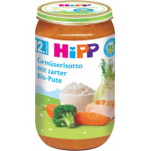 Hipp 250 γρ. βιολογικός πουρές ριζότο με λαχανικά και γαλοπούλα για παιδιά 12+ μηνών Hipp 251191 