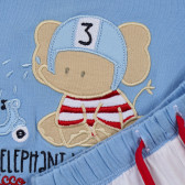 Βαμβακερό σετ ELEPHANT WASH για μωρό σε μπλε και λευκό χρώμα Chicco 255359 3