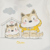 Βαμβακερή μπλούζα σετ με κολάν για μωρό σε λευκό και καφέ χρώμα Chicco 256136 3