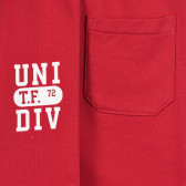 Βαμβακερό αθλητικό παντελόνι "Uni.Div", κόκκινο Chicco 258121 3