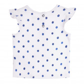 Βαμβακερό σετ μπλουζάκι και σορτς μωρού, σε λευκό και μπλε Chicco 258740 5