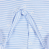 HIPPO ριγέ βαμβακερή φόρμα για ένα μωρό, μπλε Chicco 258782 2