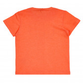 Βαμβακερό μπλουζάκι με το εμπορικό σήμα για μωρό, πορτοκαλί Benetton 260584 4