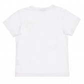 Βαμβακερό μπλουζάκι με εκτύπωση Shark week για μωρό, λευκό Benetton 260616 4
